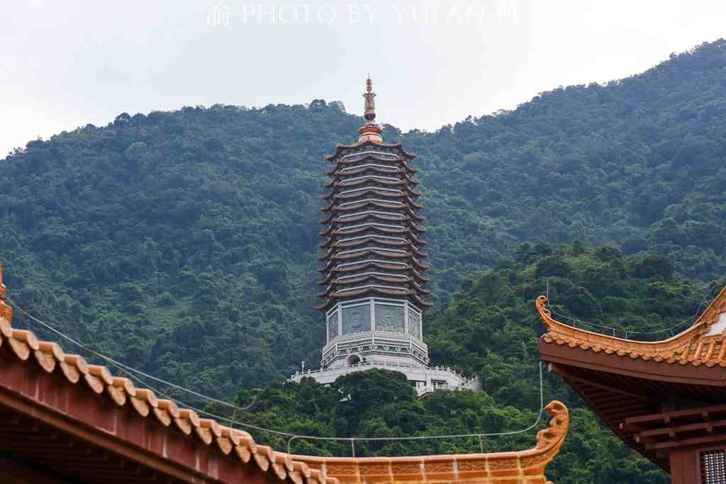 深圳有哪些好玩的地方（深圳最好玩的几个地方）-第17张图片