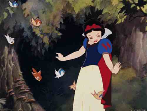 迪士尼有哪些公主（迪士尼一共有多少位公主）-第1张图片