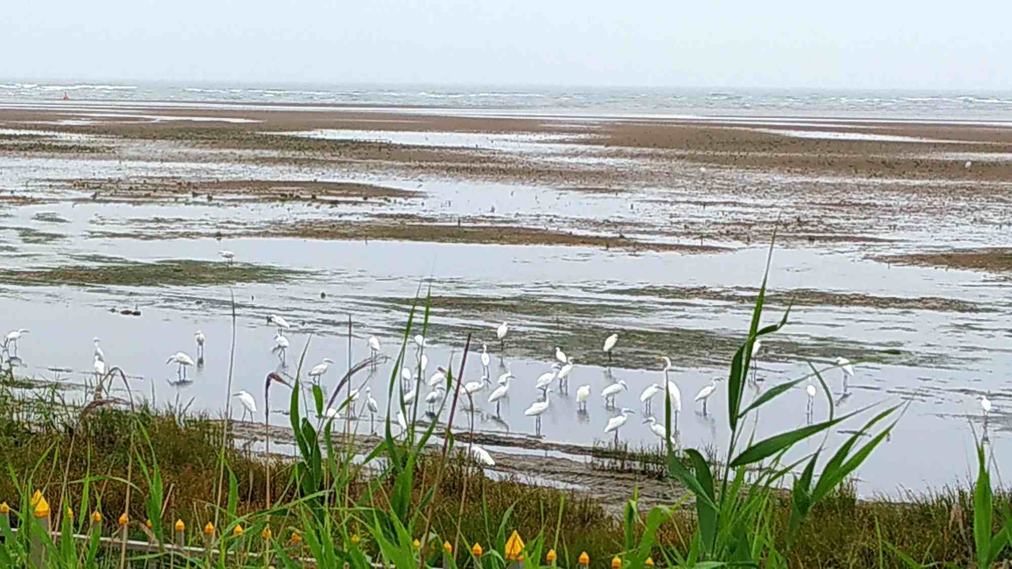 北戴河旅游景点有哪些（北戴河有什么好玩的景点）-第3张图片