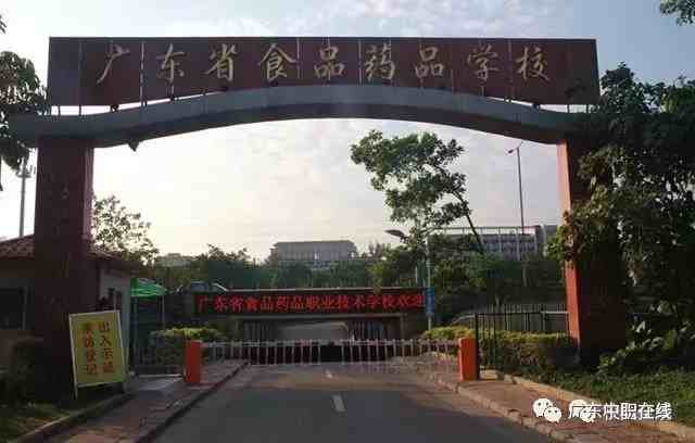 广州技校有哪些学校（广州比较好的公办中职有哪些）-第9张图片