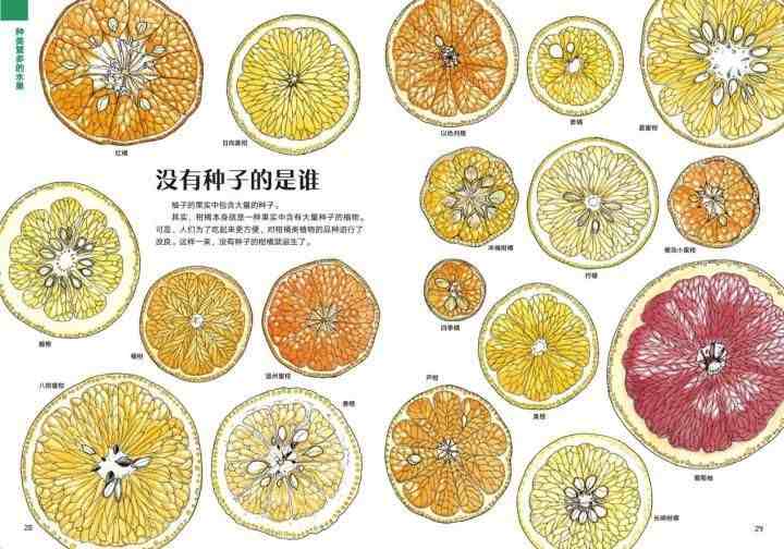 科普读物有哪些(有哪些适合孩子看的经典科普读物)-第8张图片 科普读物有哪些(有哪些适合孩子看的经典科普读物)-第8张图片