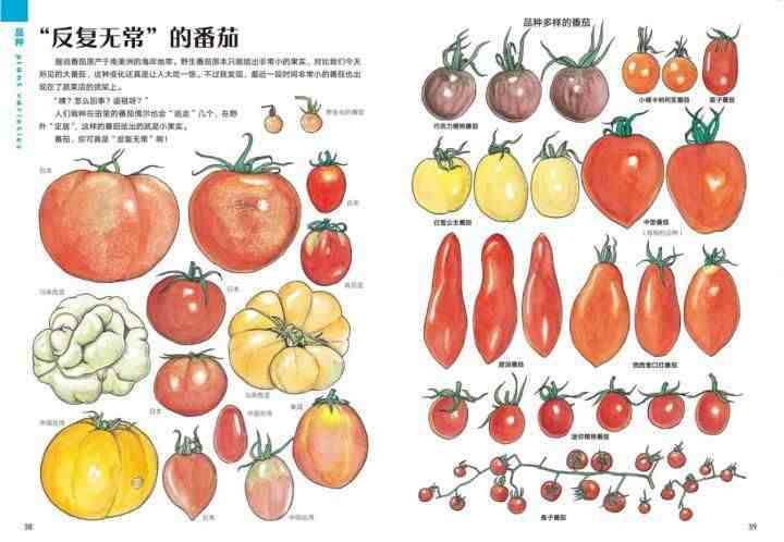科普读物有哪些(有哪些适合孩子看的经典科普读物)-第9张图片 科普读物有哪些(有哪些适合孩子看的经典科普读物)-第9张图片