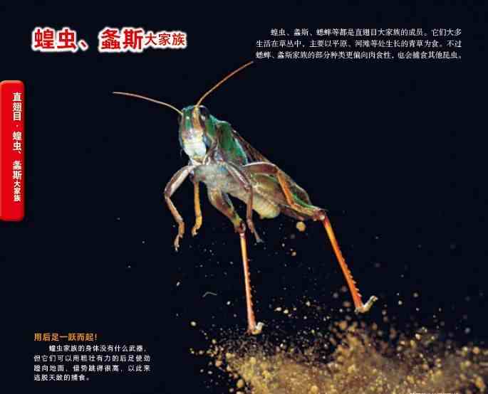 科普读物有哪些(有哪些适合孩子看的经典科普读物)-第13张图片 科普读物有哪些(有哪些适合孩子看的经典科普读物)-第13张图片