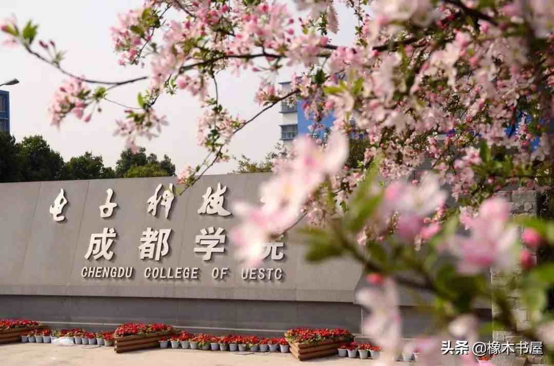 电子科技大学成都学院怎么样（电子科技大学成都学院是一所什么样的高校）-第1张图片