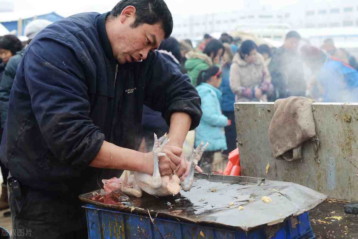 怎么样炖鸡汤（怎么炖鸡汤好喝到底要不要焯水）-第8张图片