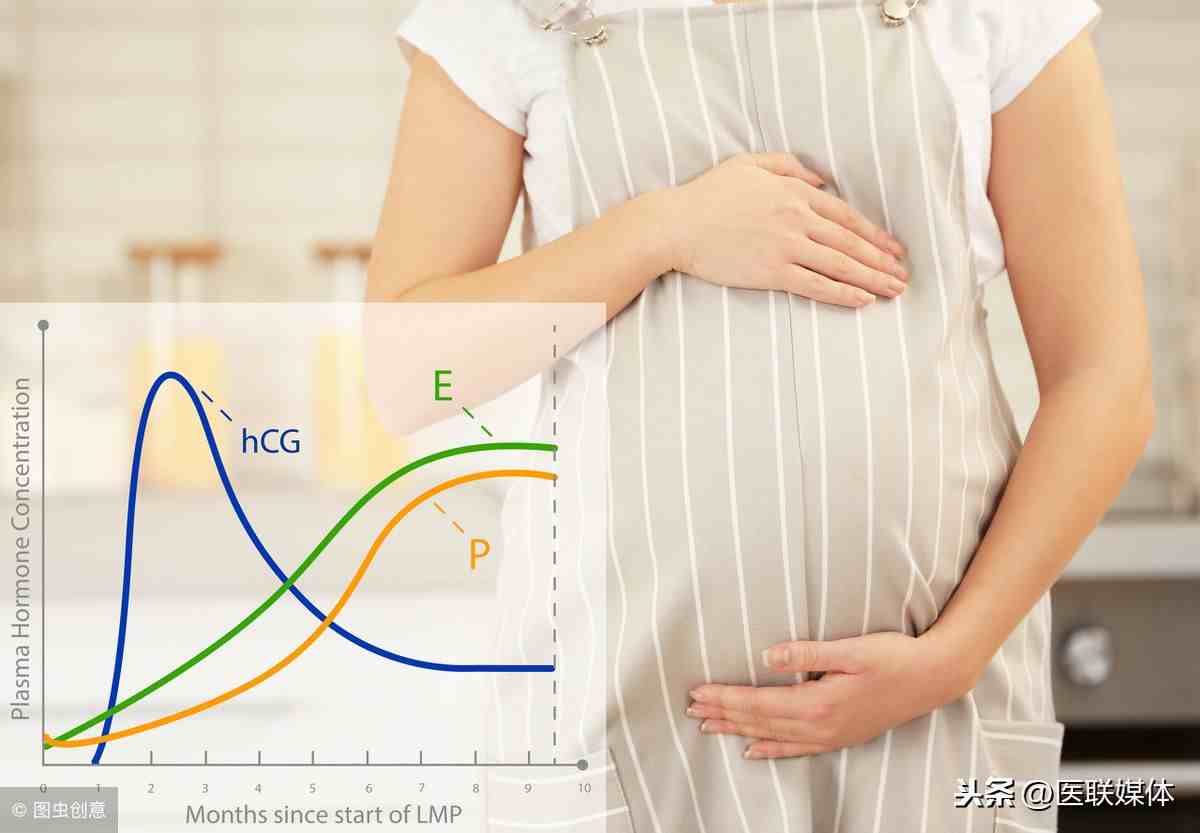 hcg是什么（孕酮和HCG是什么意思？）-第1张图片