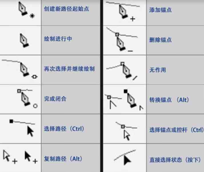 ps钢笔工具怎么用（PS中钢笔工具详细讲解）-第7张图片