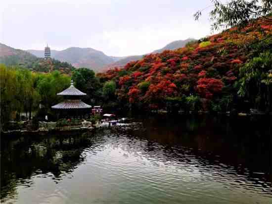 济南有什么好玩的地方（济南好看又好玩的地方在这里）-第1张图片