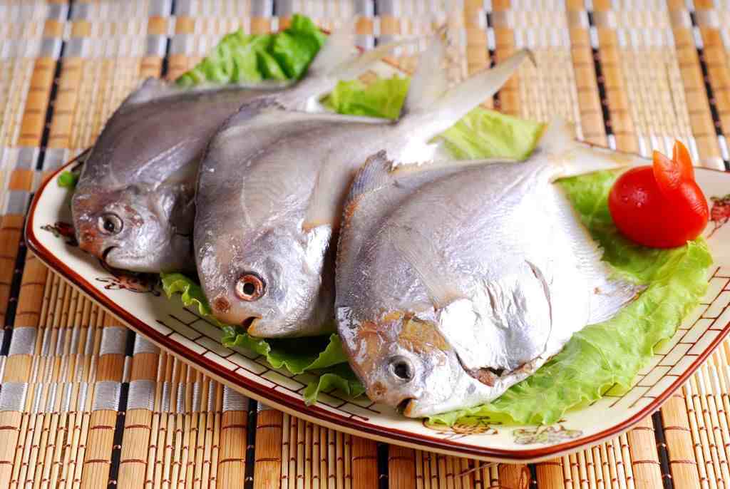 海鱼有哪些（中国有什么好吃的海鱼？）-第3张图片