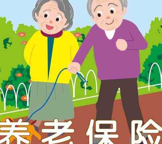 社保和养老保险有什么区别（怎样理解社保和养老保险）-第3张图片