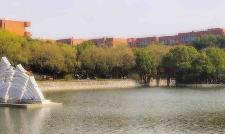 上海有什么大学（他们的排名怎么样？）-第2张图片