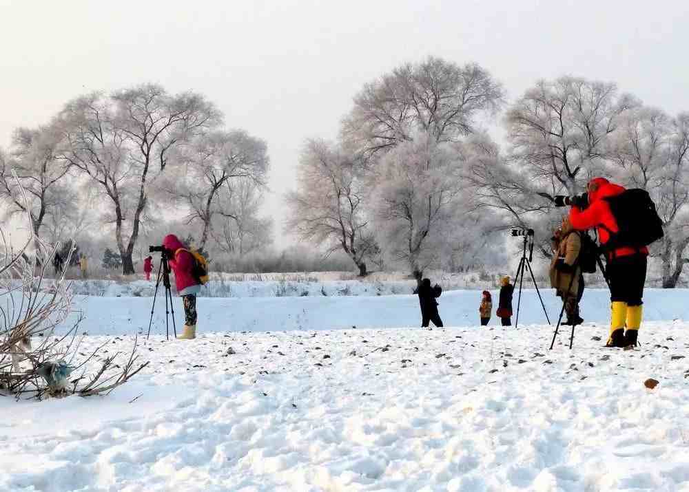 冬天适合去哪里旅游（6个最适合冬天旅行的目的地）-第7张图片