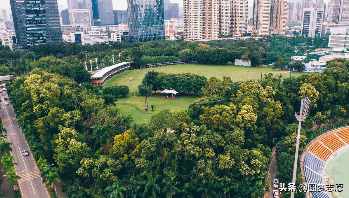 深圳大学怎么样（深大到底属于什么级别的大学）-第1张图片