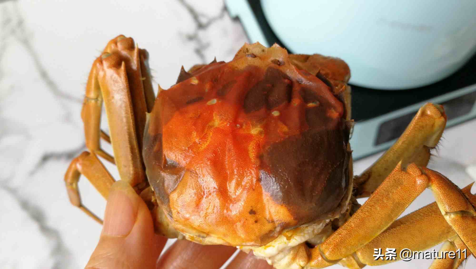 怎么吃螃蟹（螃蟹应该怎么吃？哪些地方不能吃？）-第10张图片