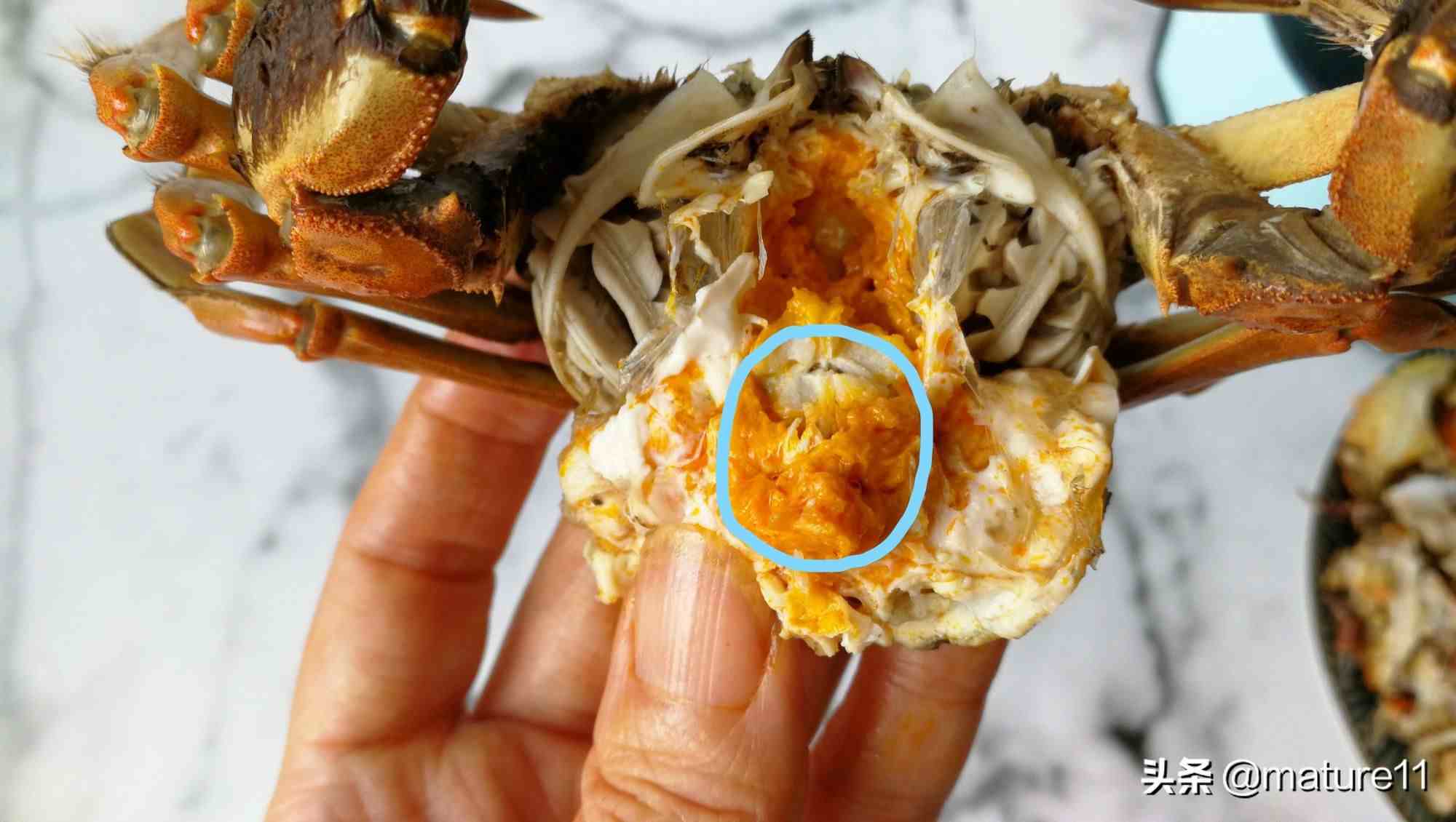 怎么吃螃蟹（螃蟹应该怎么吃？哪些地方不能吃？）-第11张图片