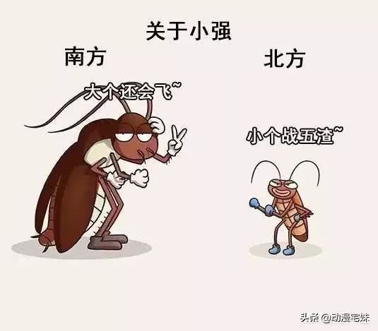 南北是什么意思(有什么奇妙的南北差异?)-第2张图片 南北是什么意思(有什么奇妙的南北差异?)-第2张图片