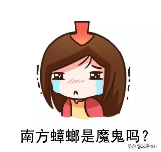南北是什么意思(有什么奇妙的南北差异?)-第3张图片 南北是什么意思(有什么奇妙的南北差异?)-第3张图片