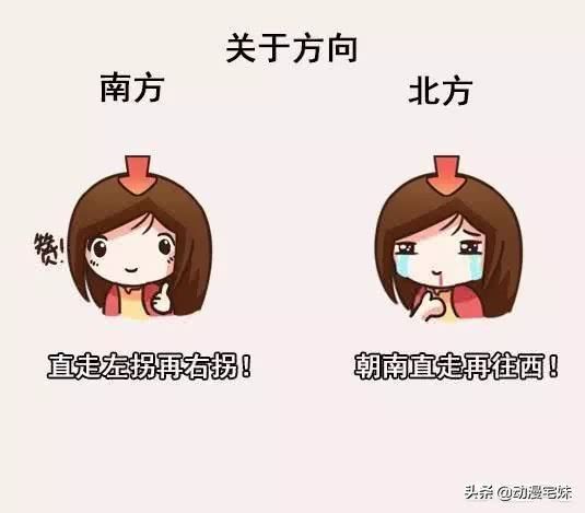 南北是什么意思(有什么奇妙的南北差异?)-第4张图片 南北是什么意思(有什么奇妙的南北差异?)-第4张图片