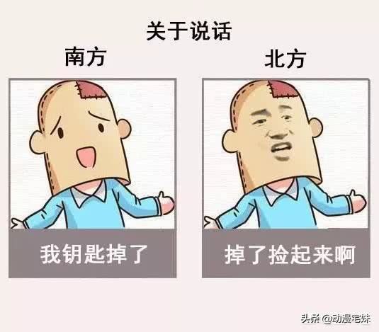 南北是什么意思（有什么奇妙的南北差异？）-第5张图片