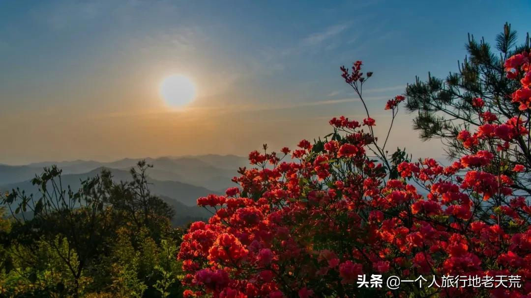 五一去哪里旅游比较好（五一到底去哪？）-第60张图片