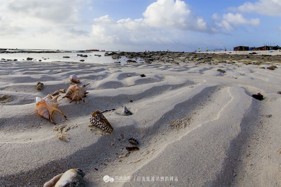 西沙群岛旅游报价（西沙群岛，海天外的美丽秘境）-第6张图片