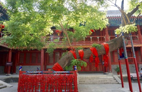 北京东岳庙（求子祈福的好地方----北京东岳庙）-第30张图片