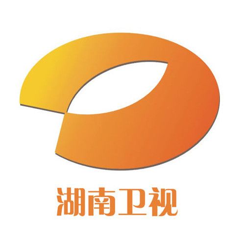 电视台台标(各大卫视台标,你知道你家乡台标含义吗?)-第9张图片 电视台台标(各大卫视台标,你知道你家乡台标含义吗?)-第9张图片
