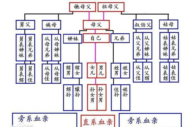 辈分称呼大全图（涨知识！祖宗十八代称呼大全）-第5张图片