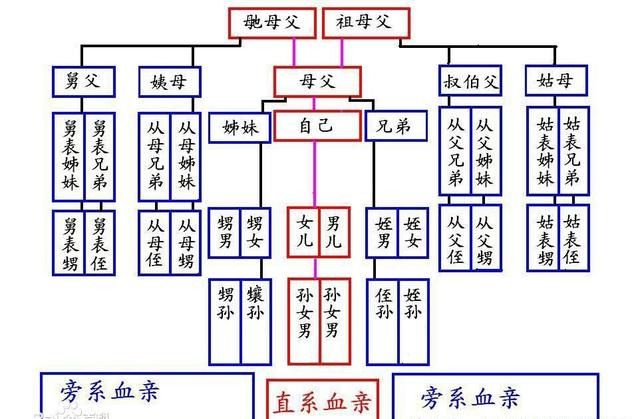 辈分称呼大全图（涨知识！祖宗十八代称呼大全）-第5张图片