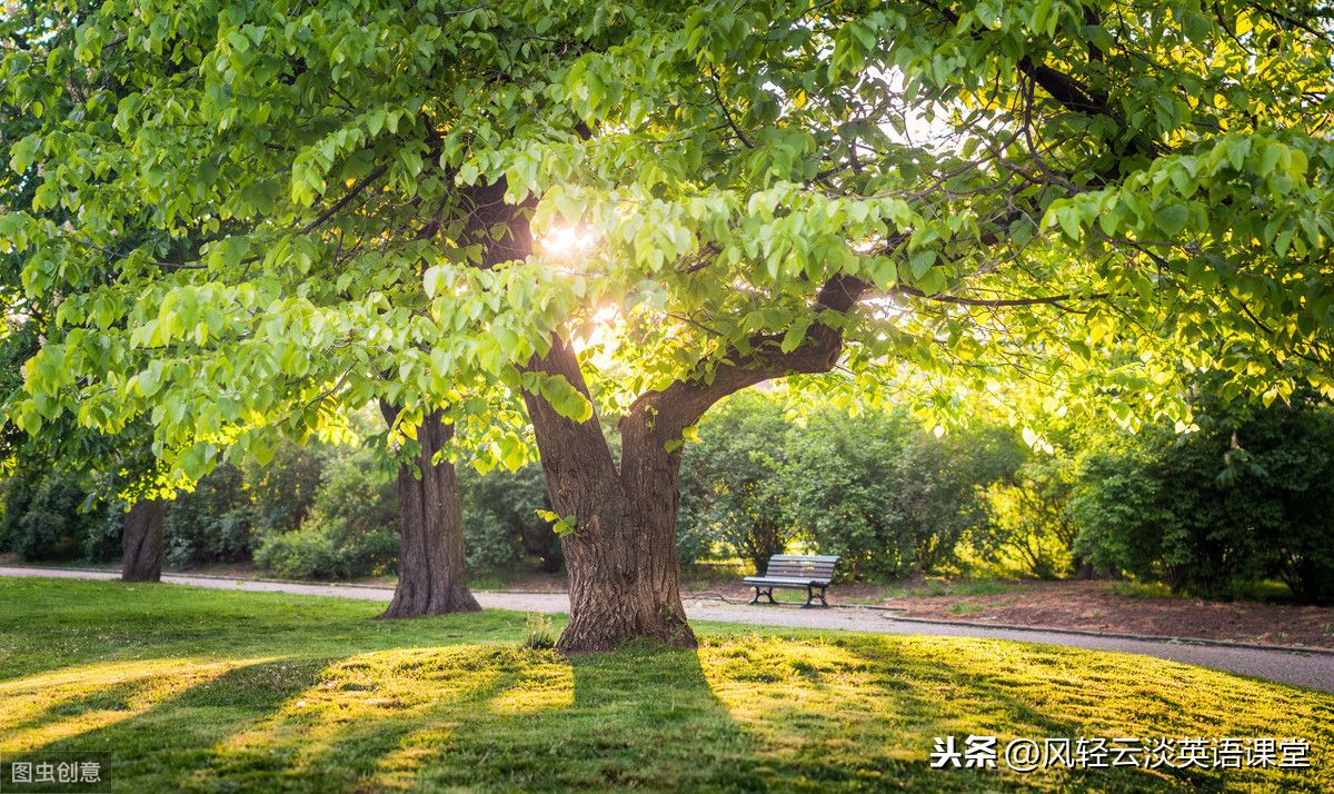 动名词作宾语（动名词作主语和宾语考点归纳）-第1张图片