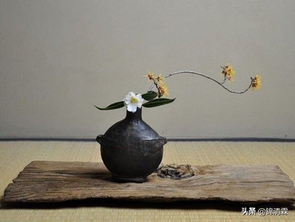 日本茶文化（带你了解日本茶文化发展史）-第10张图片