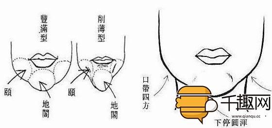 天庭饱满地阁方圆（什么是天庭饱满地阁方圆？）-第3张图片