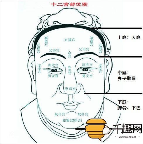 天庭饱满地阁方圆（什么是天庭饱满地阁方圆？）-第2张图片