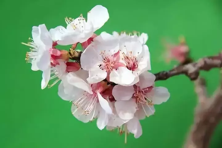 中医基础理论笔记（靠谱中医基础理论学习笔记）-第1张图片