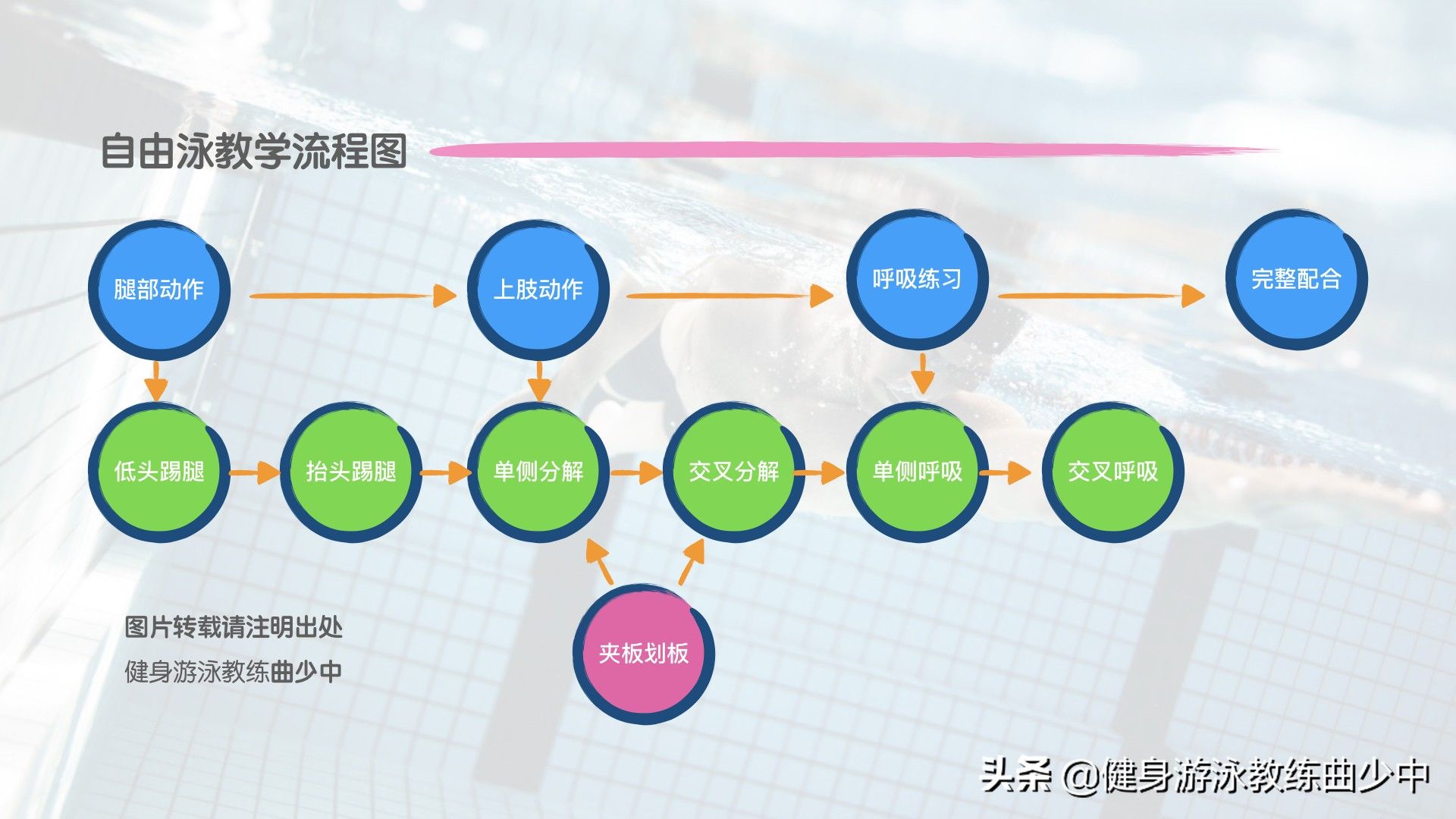 自由泳教程（自由泳完整教学流程）-第2张图片