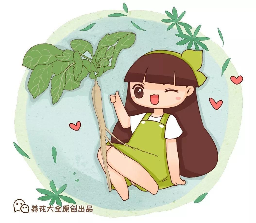 中草药植物图片（农村这6种野草，全是名贵药材）-第1张图片