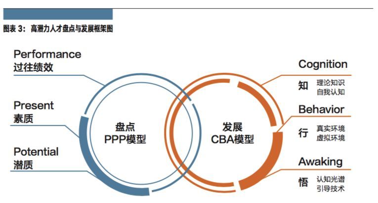 潜力英才（发掘高潜力人才）-第4张图片