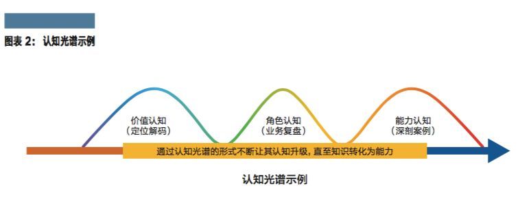 潜力英才（发掘高潜力人才）-第3张图片