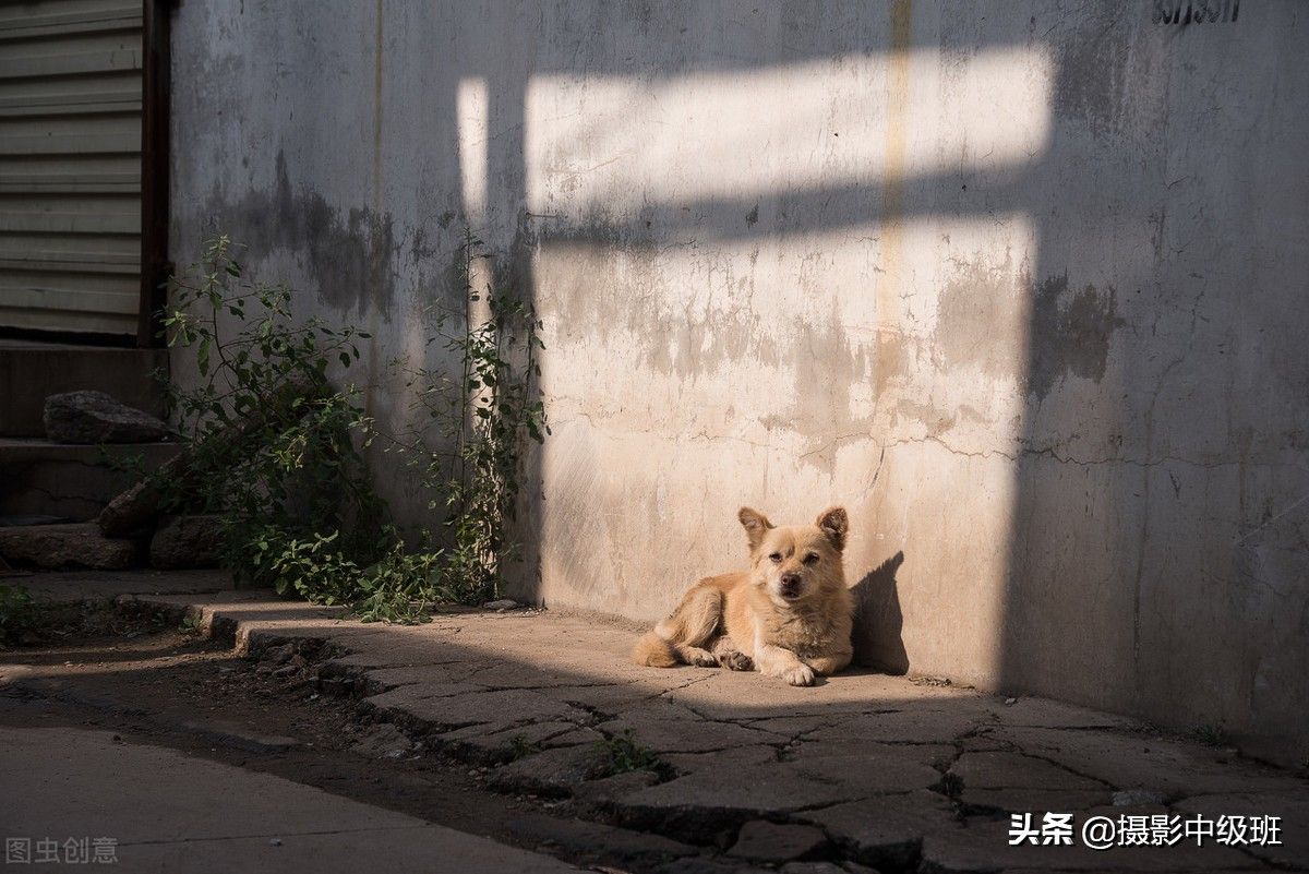 构图方法（10大摄影构图手法）-第20张图片