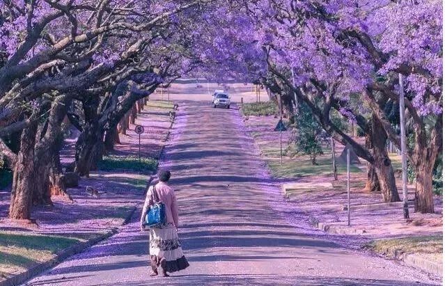 春节适合去哪里旅游（最适合春节旅行的7个地方）-第31张图片