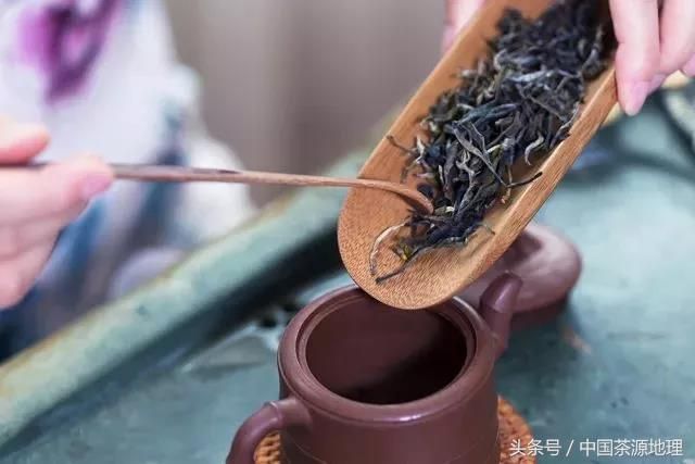 如何沏茶（记住7个泡茶步骤，快速进阶泡茶高手）-第1张图片