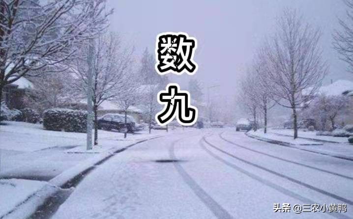 一九是哪天(一九”啥时候到?)-第1张图片 一九是哪天(一九”啥时候到?)-第1张图片