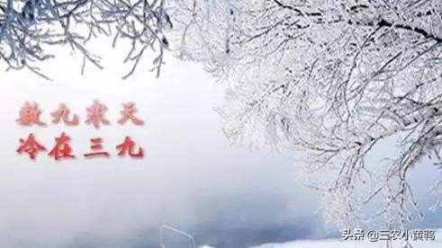 一九是哪天(一九”啥时候到?)-第3张图片 一九是哪天(一九”啥时候到?)-第3张图片