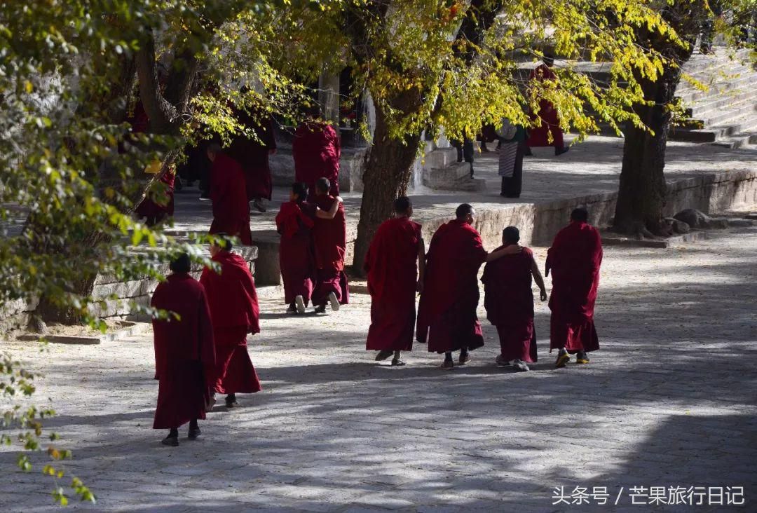 去西藏旅游费用多少钱（去一次西藏要多少钱？）-第10张图片