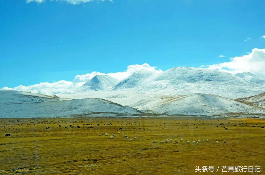 去西藏旅游费用多少钱（去一次西藏要多少钱？）-第16张图片