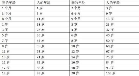 狗一般能活多久（狗狗寿命有多长？）-第3张图片