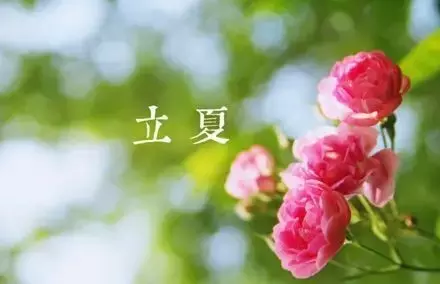 9首描写有关立夏的古诗（送你九首最清凉的古诗）-第7张图片