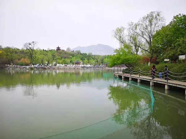 北京端午节去哪玩（这些才是北京端午小长假该去的地方！）-第19张图片