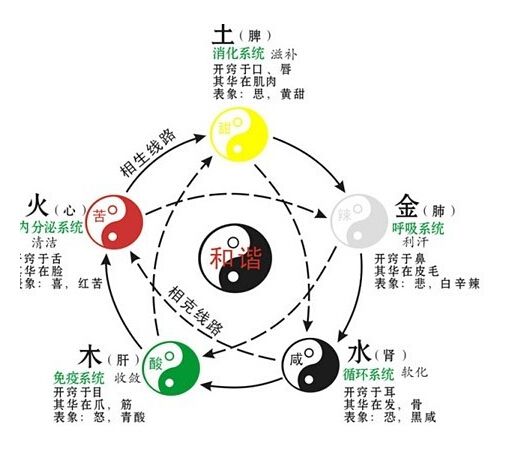 三才数理（姓名三才数理生克预示的吉凶现象）-第1张图片