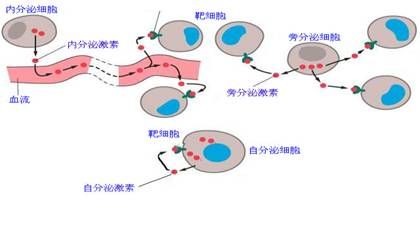 眼角下长斑（眼角下面长斑怎么回事  ）-第2张图片